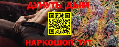 гидра Будённовск
