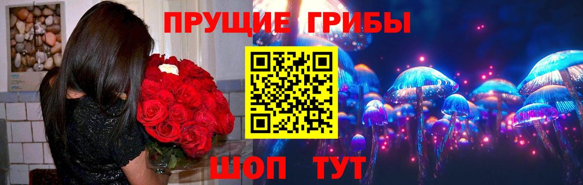 Семёнов  Галлюциногенные грибы прущие грибы  Вход с VPN 